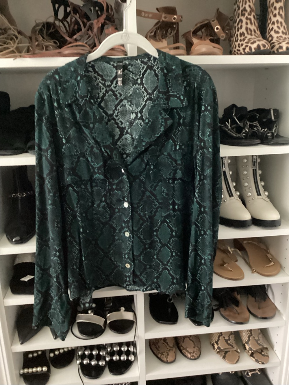 Zara Teal Snake-Print Button Front Blouse